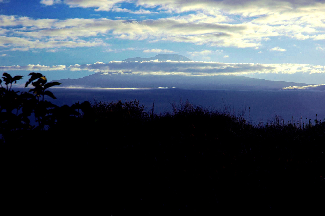 Kilimanjaro - Last View of Kili - 933.jpg